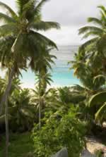 View through coconut palms, over Anse Victorin beach, Fregate Island