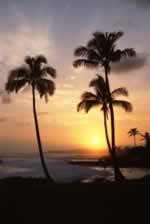 Hawaii sunset image