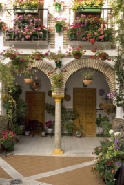 Photo of Cordoba flower-filled patio