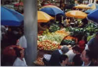 Funchal Market